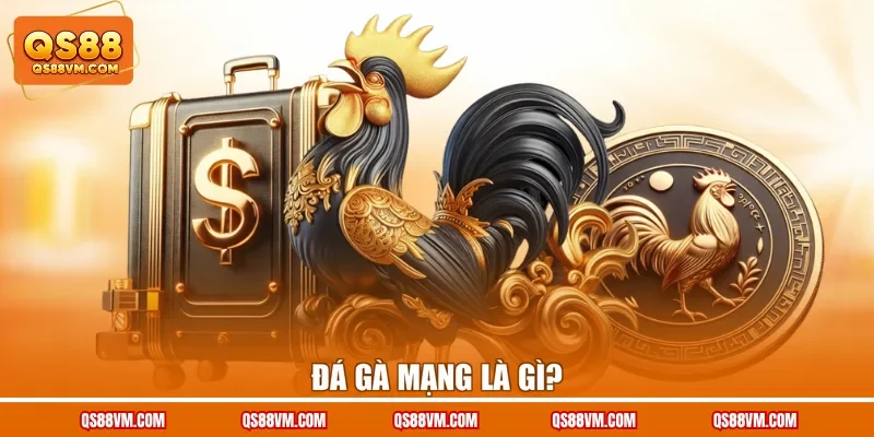 Đá gà mạng là gì?