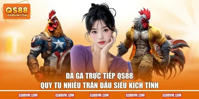 Đá Gà Trực Tiếp QS88 Quy Tụ Nhiều Trận Đấu Siêu Kịch Tính