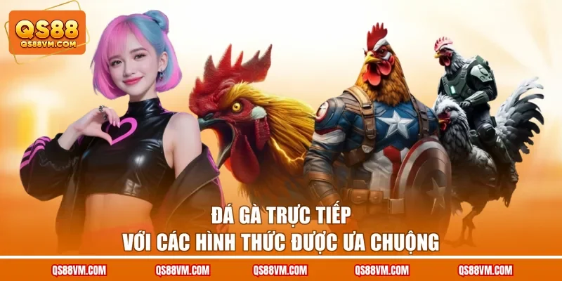 Đá gà trực tiếp với các hình thức được ưa chuộng 