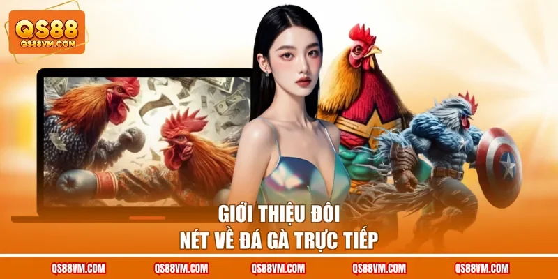 Giới thiệu đôi nét về đá gà trực tiếp